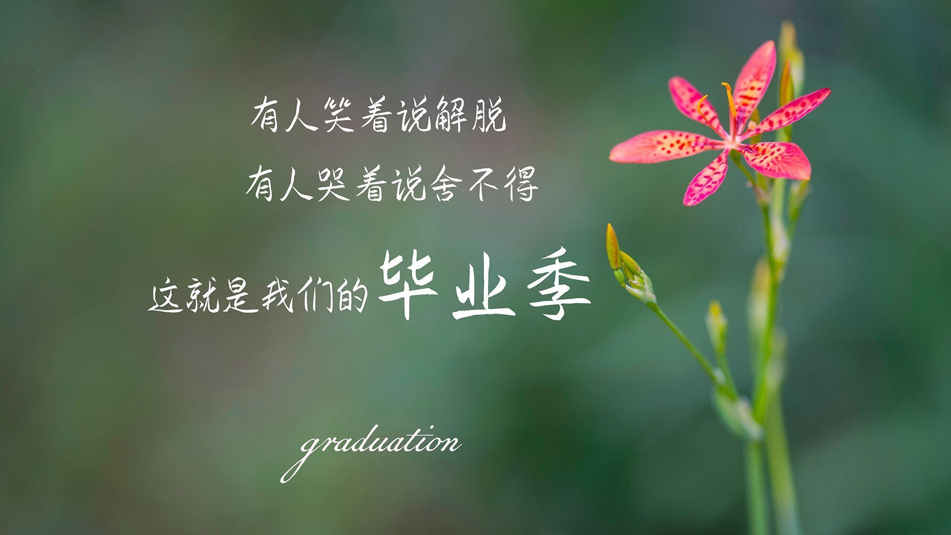 _新能源运动：电动滑板新宠火热来袭_，最新型的电动滑板