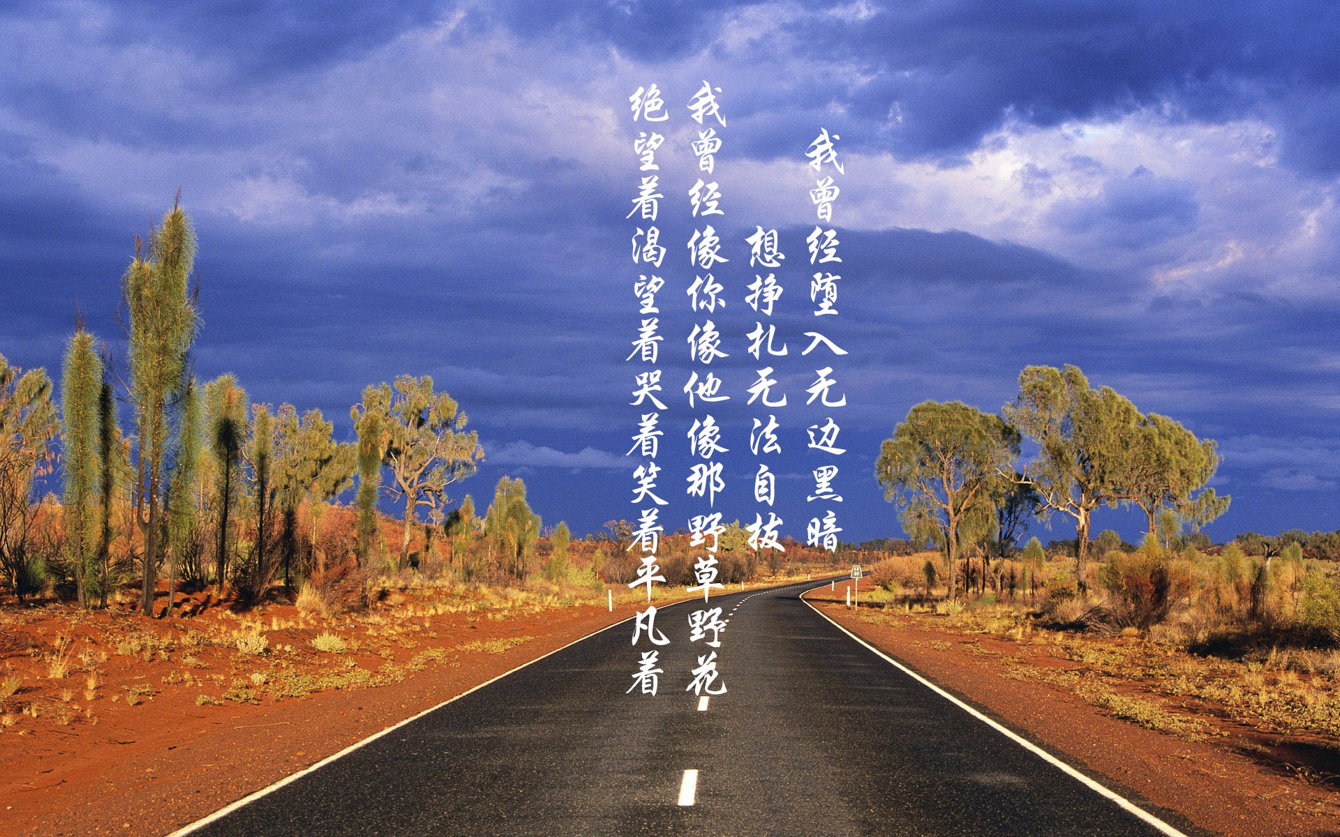 开云平台-太阳在客场奋战到最后一刻，布克投中制胜三分，带队成功逆转骑士！