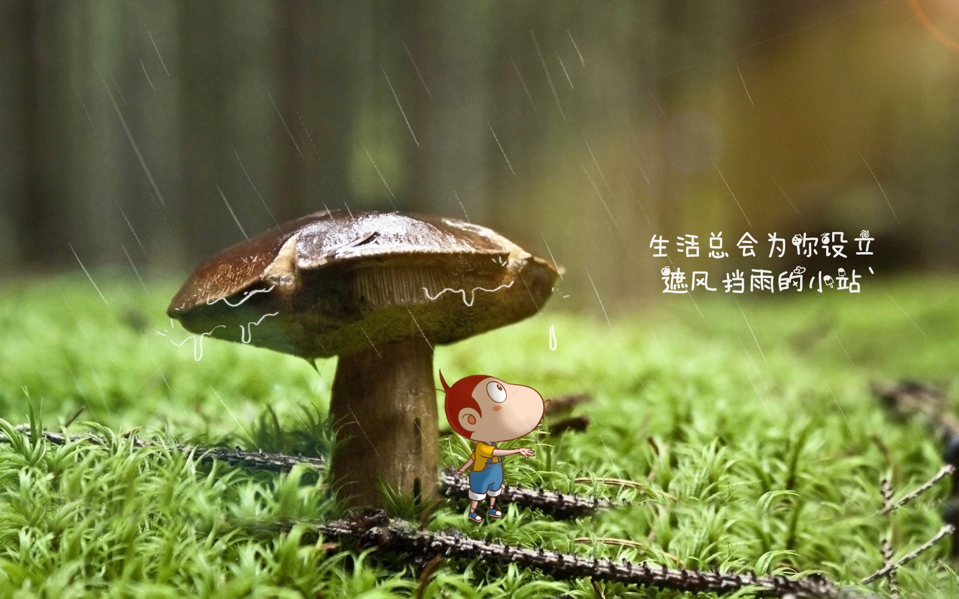 -未来联盟：虚拟互动与沉浸式观赛技术盛大开启！，未来lol