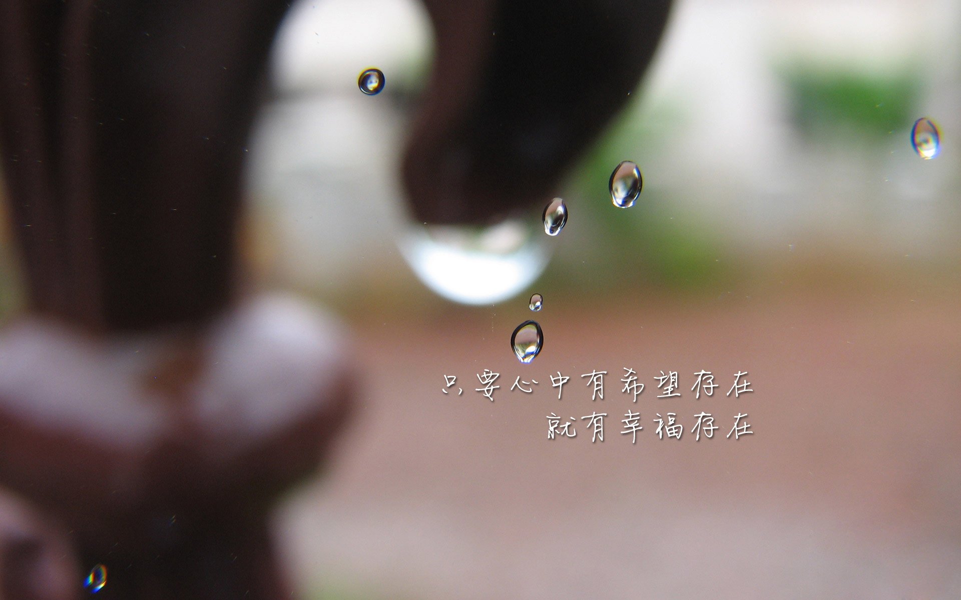 赛季最佳助攻：传球艺术的巅峰之作，赛季助攻记录