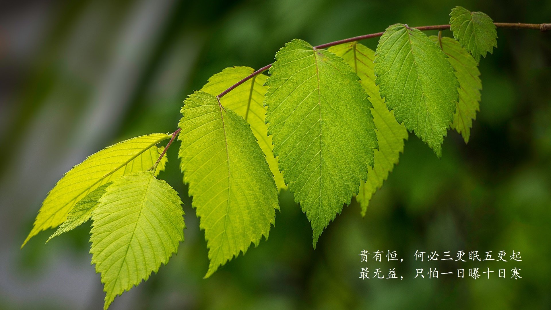 足球技术分析系统投入使用，助力教练精准布阵，足球系统训练方法