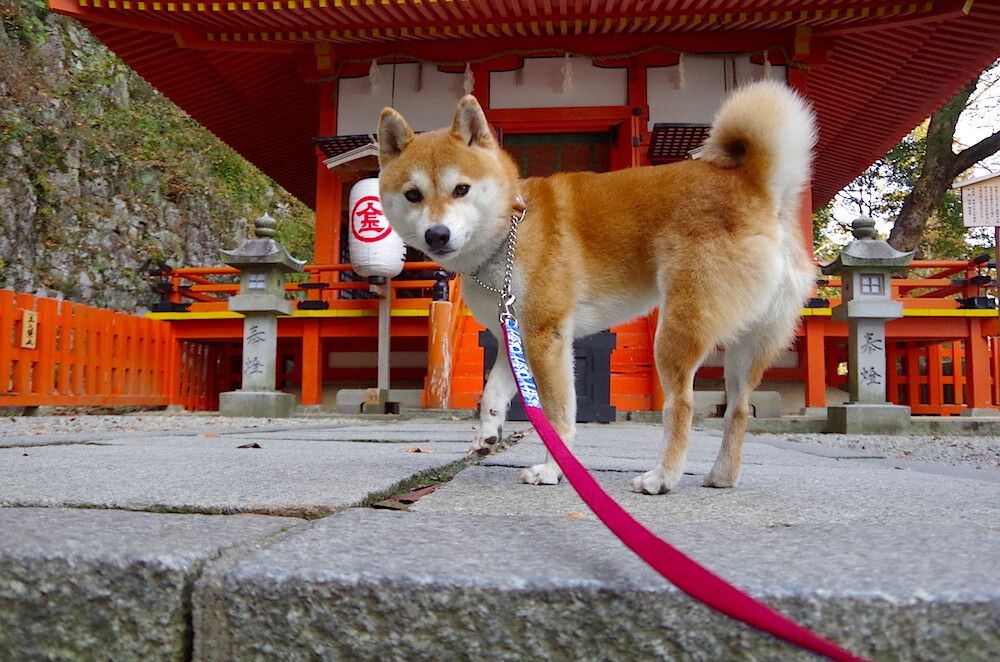 全国中学生田径运动会火热开幕,全国中学生田径冠军赛