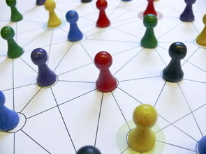 开云APP-国足换人策略与比分变化关系，国足换帅一说的准确性到目前依然无从核实