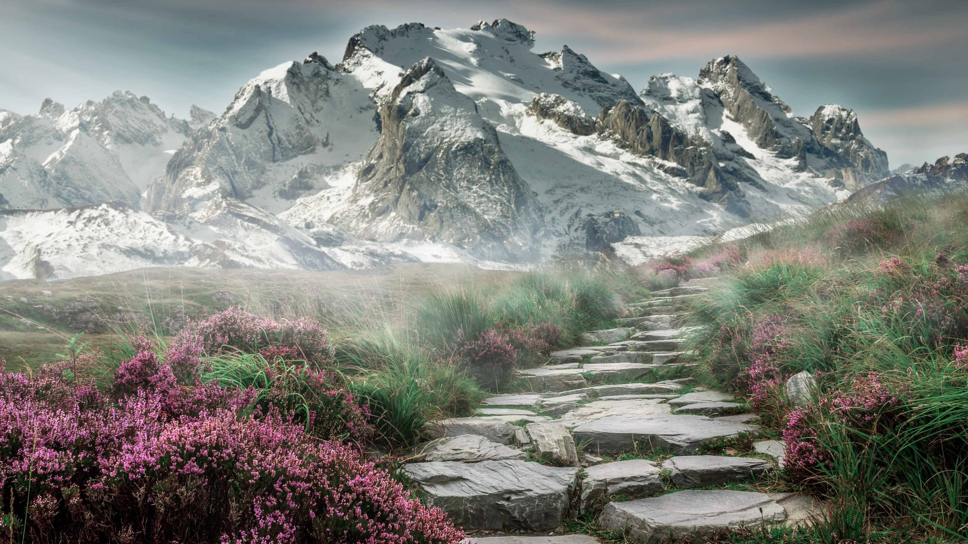 国家队夺冠国际热身赛 战术解读引热议,中国国家队热身赛直播