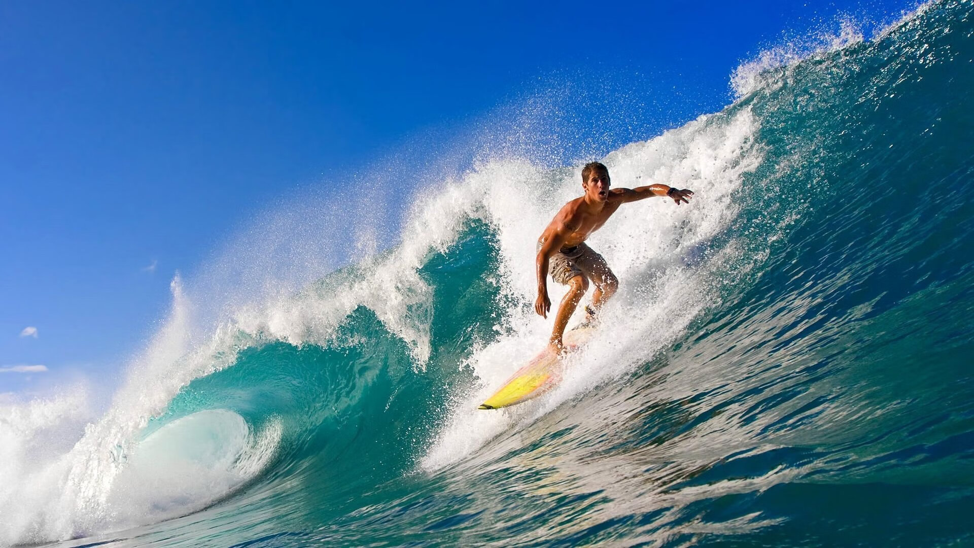 德甲转会热潮：多支豪门补强中场并扩充锋线火力，德甲转会一览2021